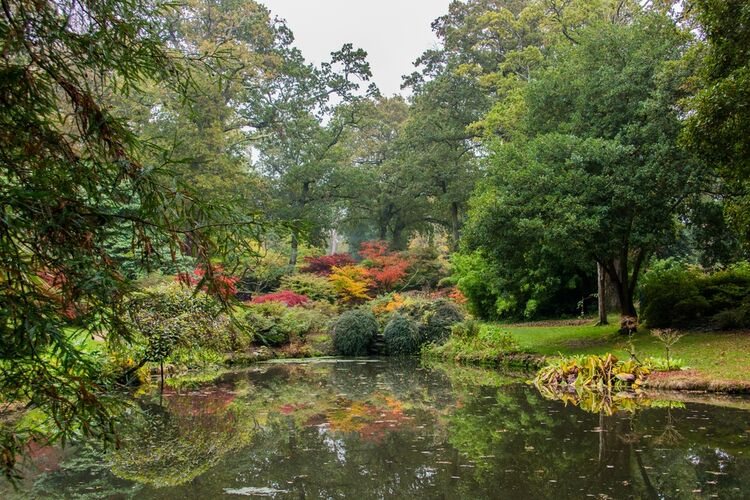 Exbury Gardens